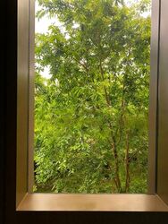 Seaside Residences (D15), Apartment #451625701